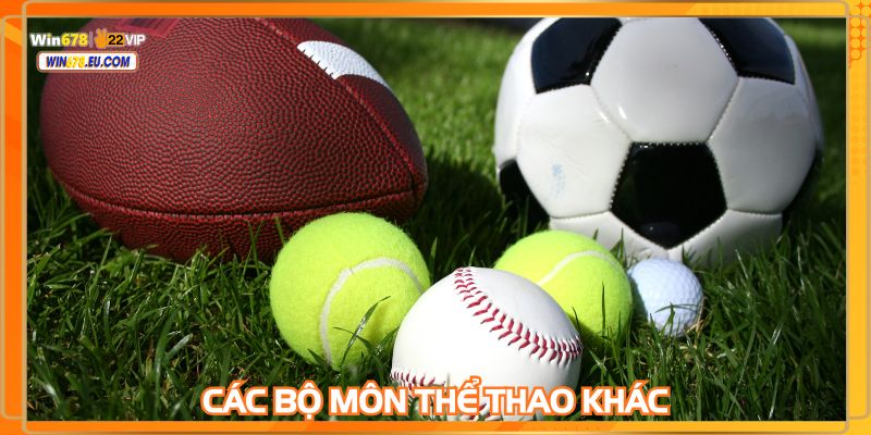 Nhiều bộ môn thu hút nhiều người yêu thích thể thao